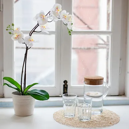 Appartement Bairro Alto Lusitania Dream